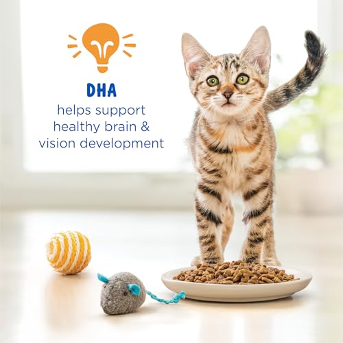 Purina Kitten Chow 14lb