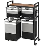 Mind Reader 2-Tier Laundry Sorter