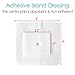 Split Drain Adhesive Bandages Feeding Tube Peg G J Tube Covers Peritoneal Dialysis PD Catheter Bordered Gauze Abdominal Pad Drain Patch Supplies Island Dressing for Nursing Care 4