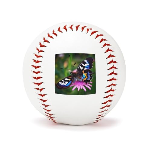 Ballon de baseball coloré de 22,9 cm idéal pour s'entraîner en famille au parc