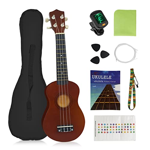 ¿Cómo Elegir El Mejor Ukulele? Guía de Compra