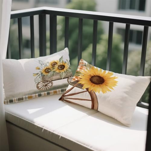 NbVJo[ 80x100 cm 2 Zbg `  Jo[ Tt[ \t@[ NbV  ʃfUC t  H ~   zc BWbp[ I[V[Y s[P[X \t@  蕨 w-1099