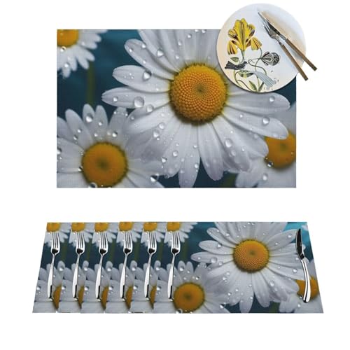 Sets de table antidérapants lavables pour protéger la table des taches de chaleur - 2