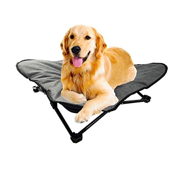 Easy Clean Hammock Chair for Dogs
