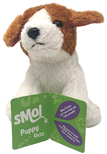Living Nature Border Collie Plush Toy - Recycled Stuffed Animal for Kids & Dog Lovers