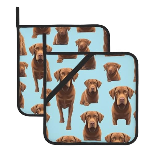 Materiale del prodotto: questo presina HJFCZH marrone labrador retriever stampato termoisolante è realizzato in materiale flessibile, alla moda e pratico per garantire un facile utilizzo e tenere saldamente piatti caldi o pentole