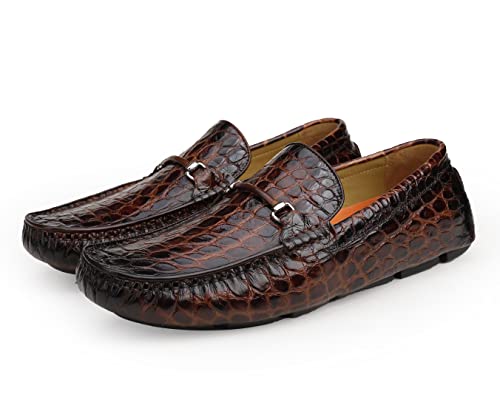 GOLDEN COXES FAMILY Y U[ hCrO JV AQ[^[ vg Xb| yj[ [t@[ V[Y, uE, 7