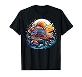 Colorful Fish Aquatic Animal Aquarium Designs