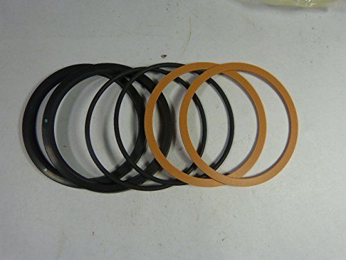 CYLINDER DIVISION PK4002A005 4IN VITON