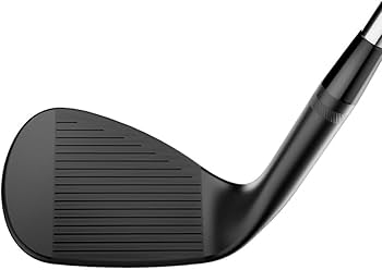 Amazon | タイトリスト(TITLEIST) Wedge Vokey SM10ジェットブラックDG