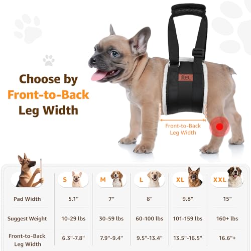Image of Adjustable Dog Lift Harness, Dog Sling for Small Dogs Lift Support and Rehab Harness for Weak Rear Legs, Soft Hind Leg Support Helps Senior, Injured, Disabled and After ACL Surgery Dogs(Black,Small)