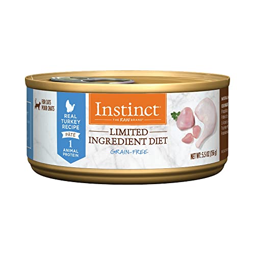 9 Best Tasting Cat Foods for Picky Eaters In 2022 (Reviewed)