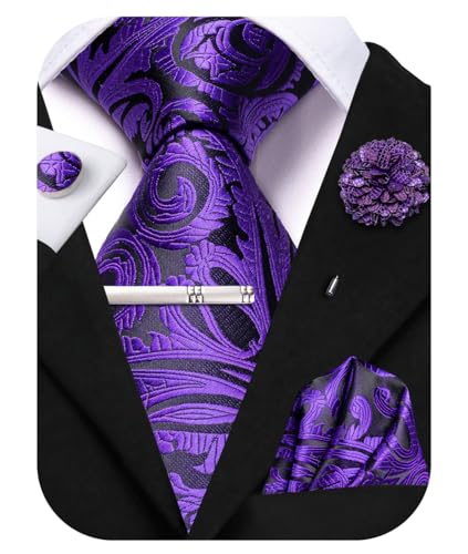 Image of Hi-Tie Mens Paisley Floral Striped Ties Set Silk Necktie and Lapel Pin for Men Pocket Square Cufflinks Set Business Wedding