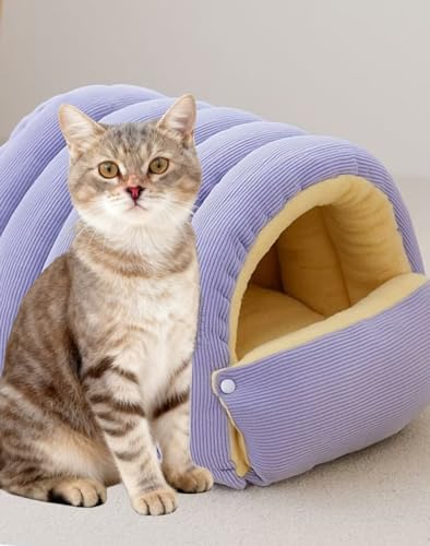 L ~pxbh ^ L   ybgxbh }bg h[^ LpQܔL   ۉ h ӂӂ _炩 g  NbV }bg  ˂  _炩 ˂ p xe H~ ΍ (p[v,M