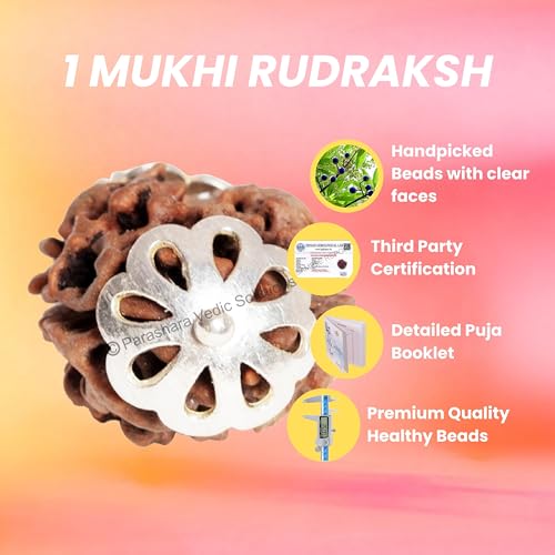 Image of ARKAM Two Mukhi Oval Rudraksha Certified /Original 2 Mukhi Rudraksh /Natural 2 faced Rudraksha with Silver Pendant (Brown) with Certificate and Puja Instructions