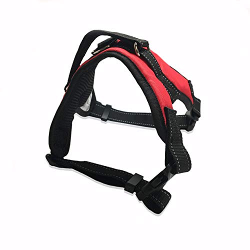 Best BackClip Dog Harness For your FourLegged Friend