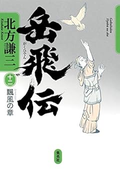 岳飛伝 12 飄風の章