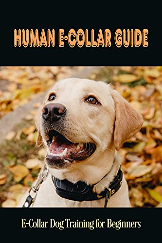 elizabethan collar human