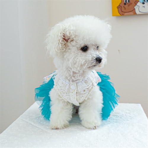 Disfraz Vintage para Perro Tutu Encaje Mariposa S miniatura 4