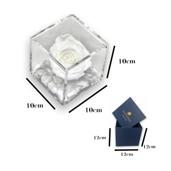 S1018 Luxury Rose Stabilizzate Vere in Cubo più spesso Luxury 8 e Scatola Regalo Lusso, Cubo rosa stabilizzata Rossa, rosa eterna, Idea Regalo per lei, Natale, Regalo donna, Rosa eterna - immagine 3