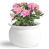 BUYMAX African Violet Pots, 6 inch Ceramic Easy Self...