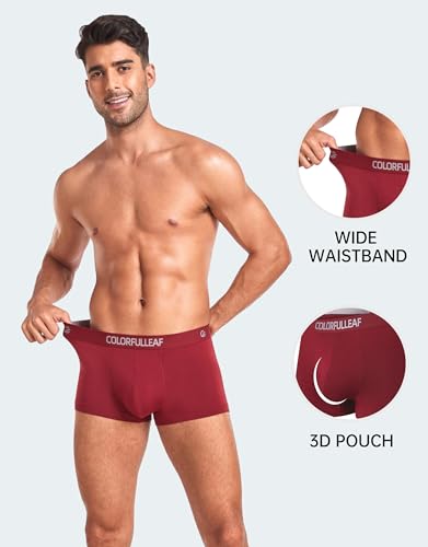 COLORFULLEAF Mens Boxer Briefs Short Leg Soft Rayon Made From Bamboo Underwear Trunks for Men Pack (4A,S)3