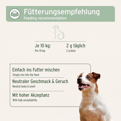 AniForte Marine Kollagen Gelenkpulver für Hunde CollaMove 250g – Fisch Collagen unterstützt Gelenke, Sehnen & Bänder – Naturprodukt für Gelenkfunktion & Agilität