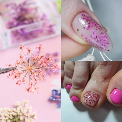 Dzpguoniz DZPGUON-128 12 Colors 3D Dried Flowers Nail Stickers For Nail Art Colorful Dry Flower For Resin Crafts Mini Small Natural Floral Dried Nails Design Diy Manicure Accessories Nails Design thumb #5