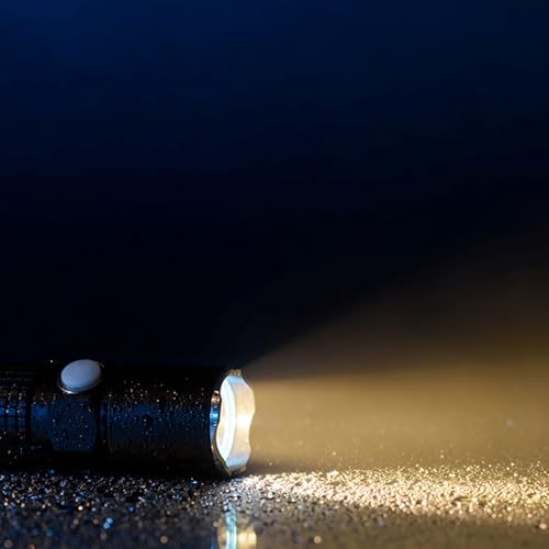 Twenty-Second Sunday after Pentecost Audio