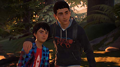 Life is Strange 2 pour PS4 [Edizione: Francia]