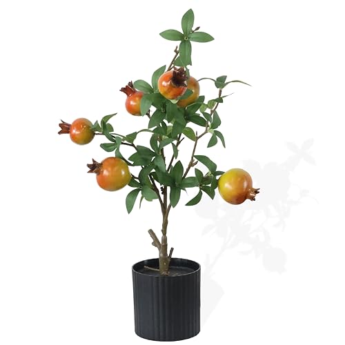 EasyFlora Artificial Pomegranate Tree with Fruits, 19 Inch Potted Plant, Decorative Faux Botanical in Black Container, for Home, Office and Living Room Tables, Highly Realistic Decoration