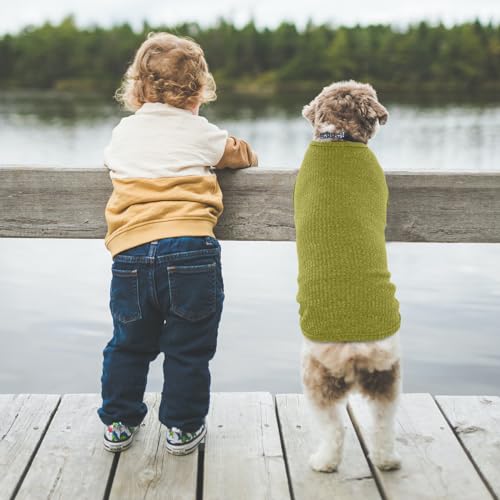 Hundeshirt für Mittelgroße Hunde | Sommer Hund T-Shirt Atmungsaktiv & Leicht | Weich & Bequem, Rundhals Design | Hunde Bekleidung | Schlanke Labrador Retriever, Golden Retriever (Chartreste XXL)