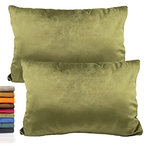 Meishida Lot de 2 housses de coussin rectangulaires, housse de coussin en velours, coussins décoratifs pour lit ou coussins pour canapé (40 x 60 cm, vert olive, (TER-45) Cover