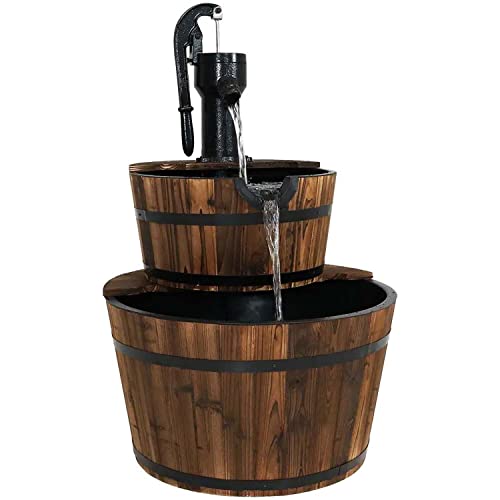 List of Ten Best Fish For Outdoor Fountain Top Picks 2023 Reviews