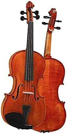 D Z Strad Violin Model 101 Full Size 4/4 Handmade Violin with Case, Bow, Shoulder Rest, and Rosin