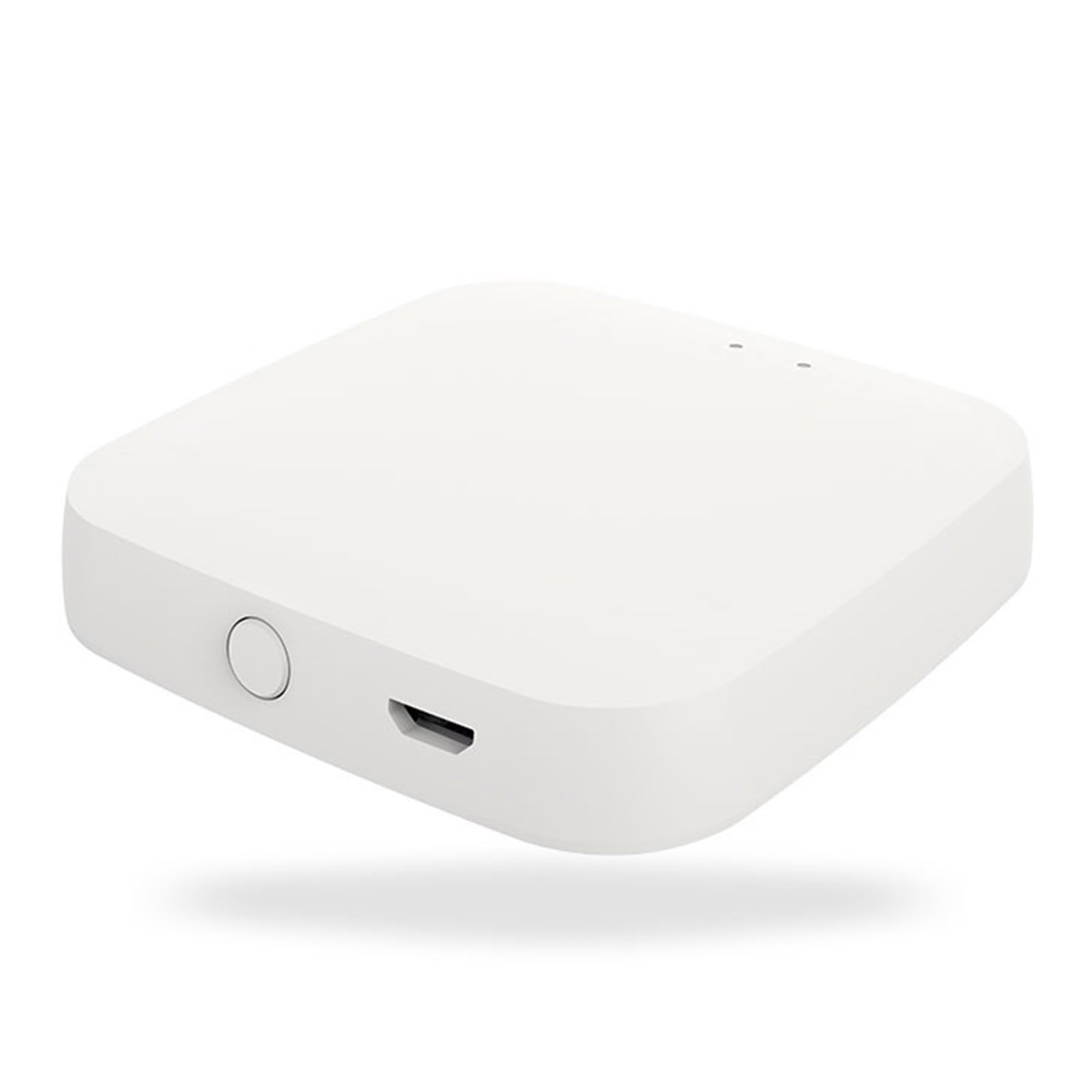 Bluetooth Garden Watering Timers Smart Drip Irrigation Rain Delay Programmable Controller Tuya Automatic Valve Voice Water Conservation(Bluetooth Hub)