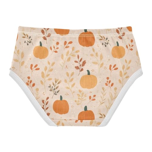 Dussdil Girl's Panties Underwear Girls Panty Briefs Cotton Training Undies Size 2 3 4 5 6 7 8t2
