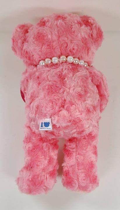 Amazon.co.jp: ご当地ベア 京都 八つ橋ベア : おもちゃ