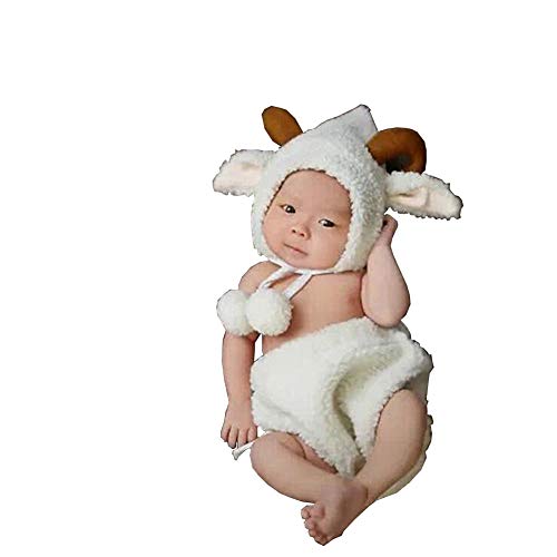 xr[p RX`[ QA[g V Ԃ ʐ^B铹 jp