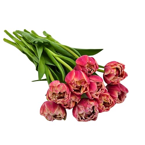 KaBloom - Bouquet of Fresh 10 Peony Pink Tulips...