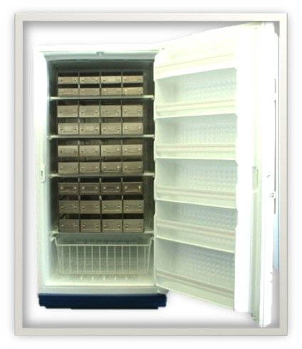 Microprocessor Controlled Enzyme Storage Freezer, (-32C to -20C), 20 Cu. Ft, Manual Defrost SCEF21OW1A