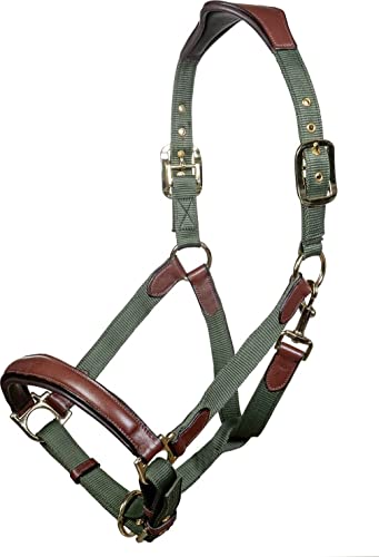 RL24 Basicline Lederhalfter Rundgenäht – Für Po Produktbild-Vorschau 5