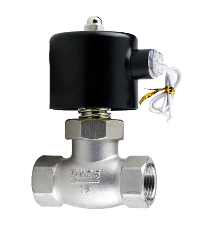 Électrovanne 24V DN50 en acier inoxydable pour stopper les fuites de gaz et eau