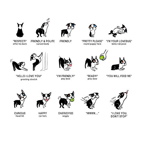 HONGECB Professionelle Hundepfeife, 2 Stück Rostfreier Stahl Hochfrequenzpfeife, Einstellbares Tonhöhe mit Frequenzsperre, Effektives Hundetraining, Grundbefehle und Bellen Stoppen, 3 Schlüsselband
