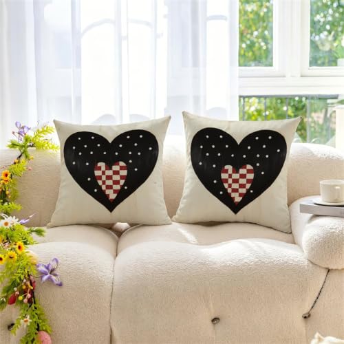Coussin extérieur imperméable noir pour protéger et embellir le canapé
