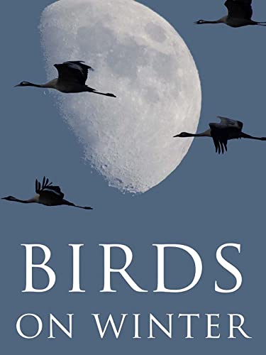 The Birds of Winter