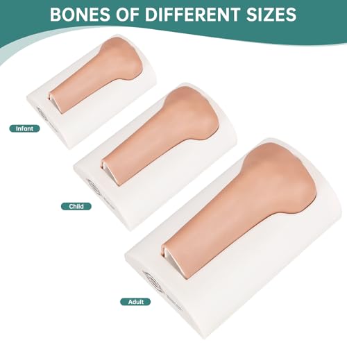 Image of Intraosseous (IO) Access Trainer, Pediatric Intraosseous (IO) Tibia Trainer, Infant Tibial IO Trainer for Medical Education