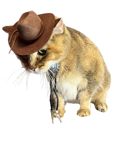 Sombrero vaquero marrón con corbata bolo para gato miniatura 4