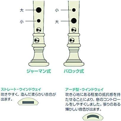 Amazon.co.jp: Toyama Musical Instrument AULOS Symphony (Wood