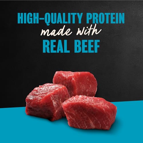 Image of Cesar Filets in Gravy Wet Dog Food, New York Strip Flavor, 3.5 oz, 24 Count | Real beef, slow-cooked, 100% complete & balanced, easy-to-digest, no fillers or artificial flavors, easy peel trays